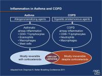 Perspectives on COPD Exacerbations and Inflammation